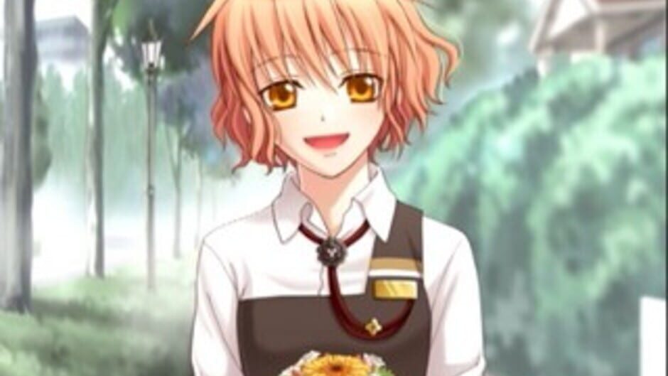 Petit Four media thumbnail