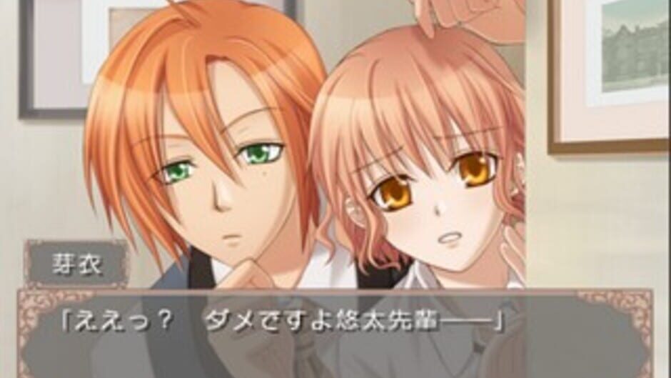 Petit Four media thumbnail