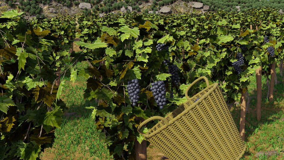 Winery Simulator screenshot