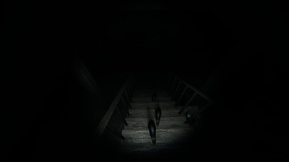 Night of the Wererat Screenshot