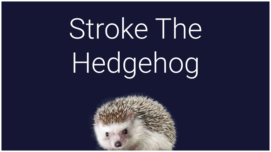 Stroke the Hedgehog Screenshot