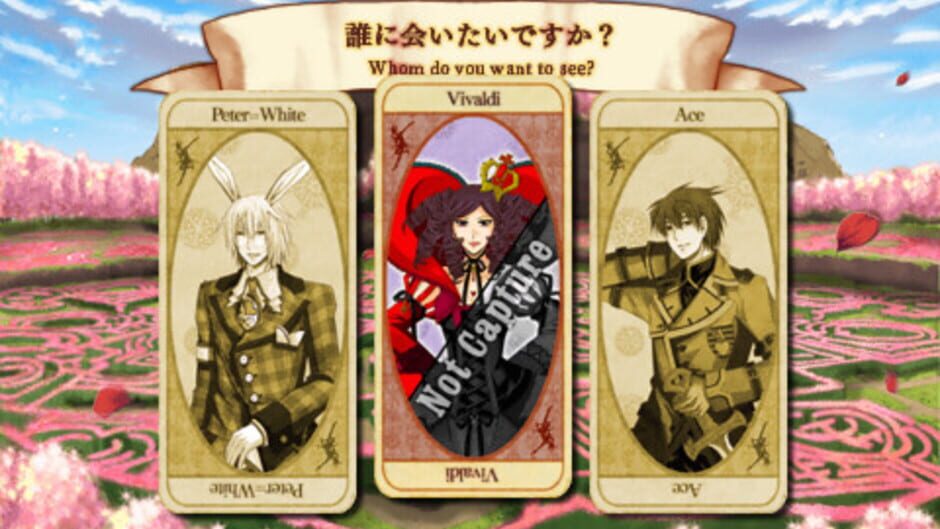 Joker no Kuni no Alice: Wonderful Wonder World media thumbnail