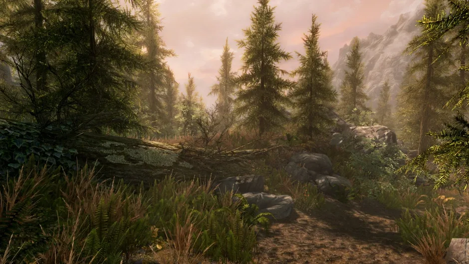The Elder Scrolls V: Skyrim - Anniversary Edition screenshot 889562
