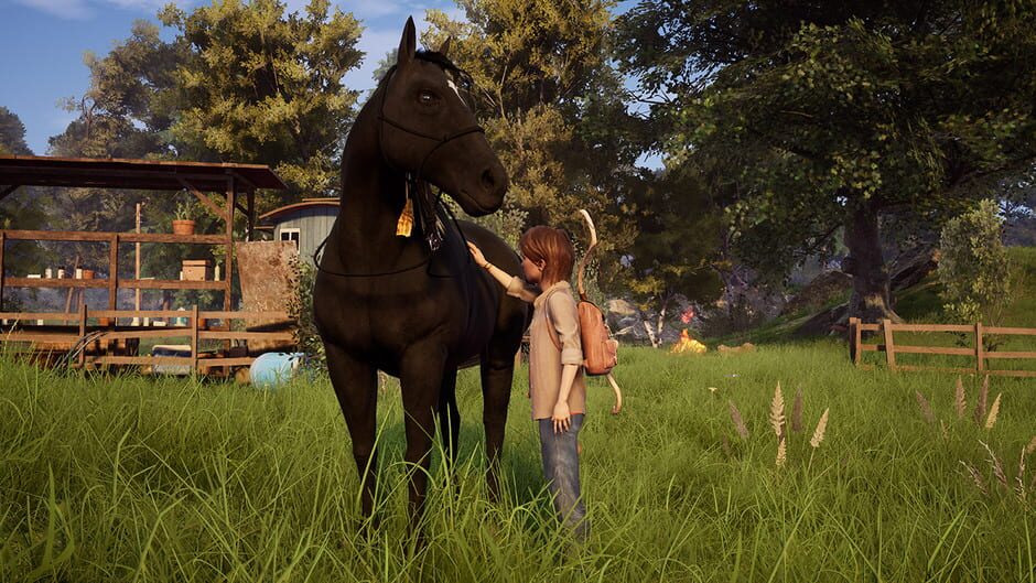 Windstorm: An Unexpected Arrival Screenshot