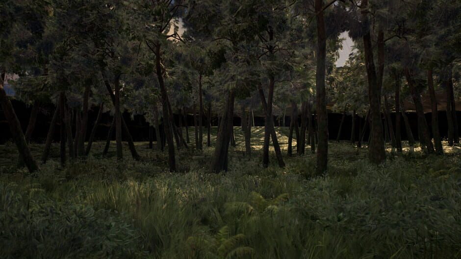Survive The Forest Screenshot