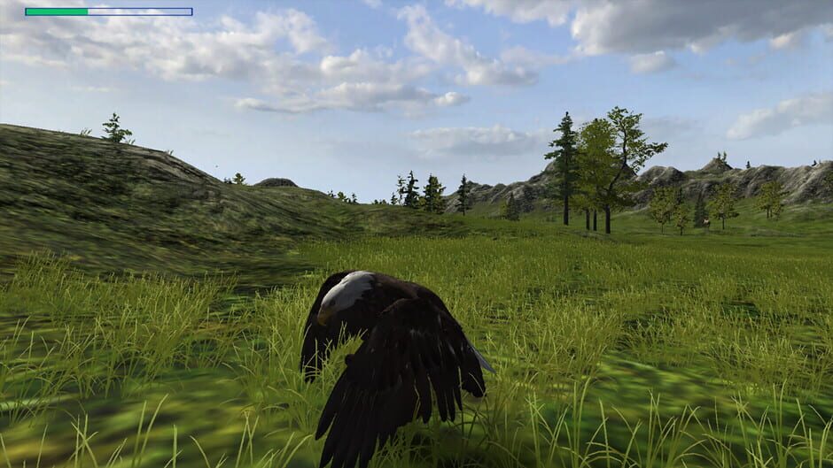 Eagle Hunting Journey Screenshot