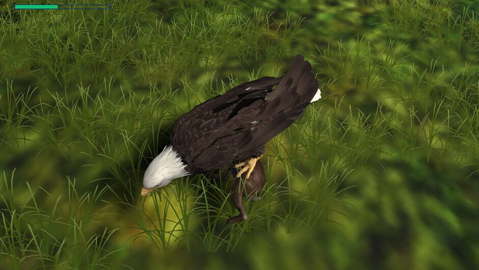 Eagle Hunting Journey Screenshot