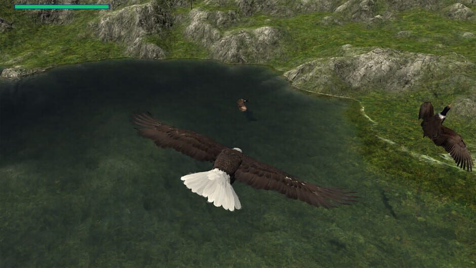 Eagle Hunting Journey Screenshot