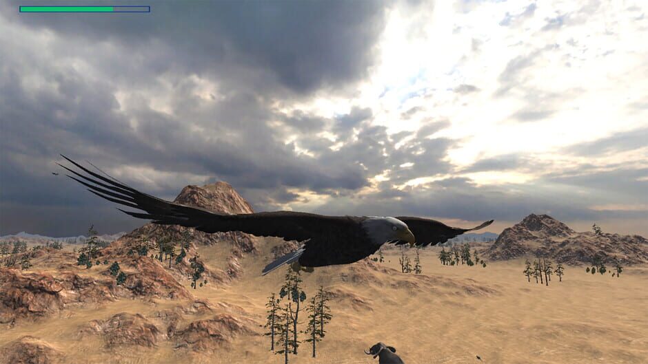 Eagle Hunting Journey Screenshot