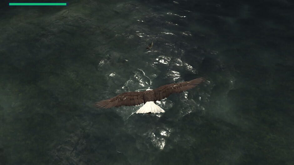 Eagle Hunting Journey Screenshot