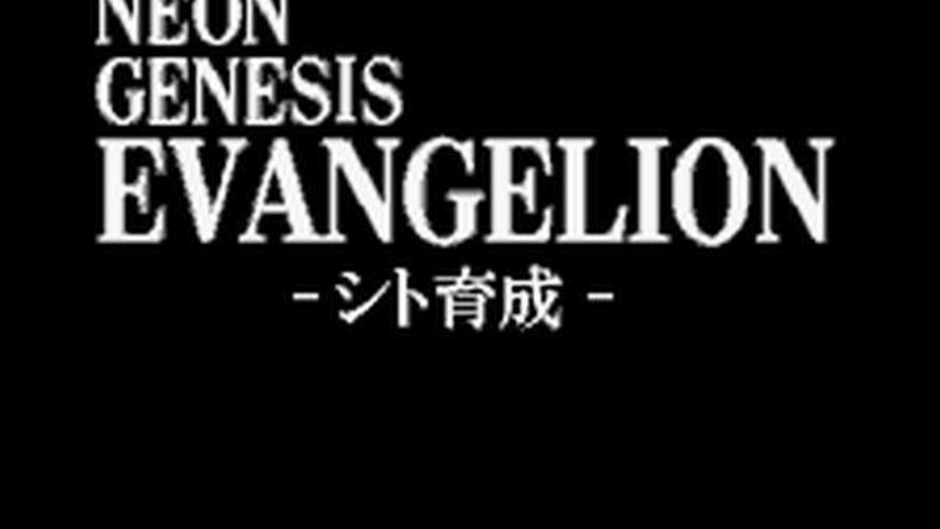 Neon Genesis Evangelion: Shito Ikusei Screenshot