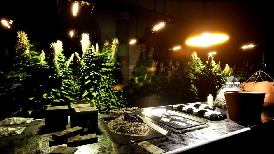 Screenshot Drug Dealer Simulator 2