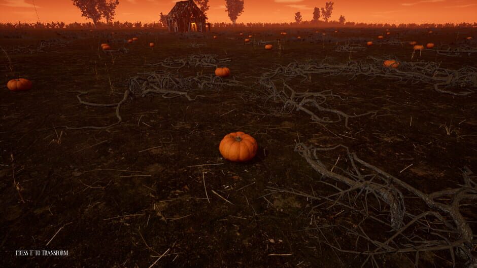 Hallowed Pumpkins Screenshot