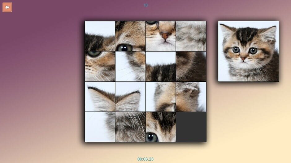 TitTok Pussy Screenshot