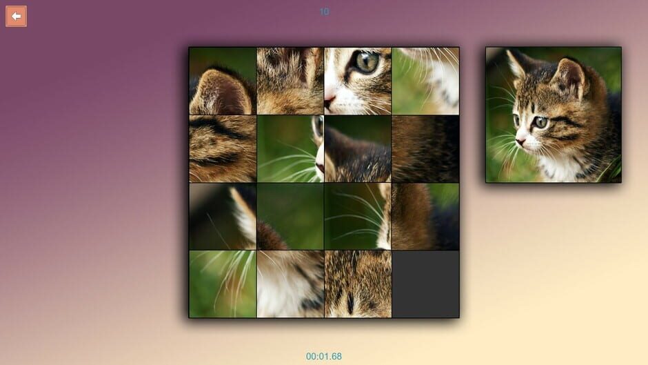 TitTok Pussy Screenshot