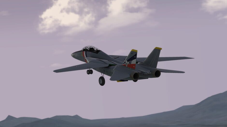 RealFlight Evolution Screenshot