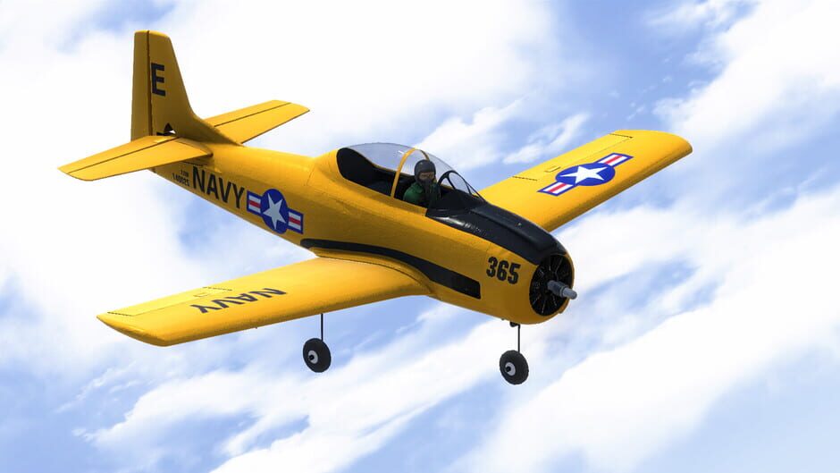 RealFlight Evolution Screenshot