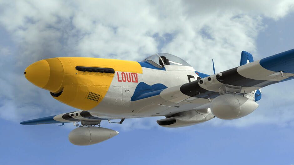 RealFlight Evolution Screenshot