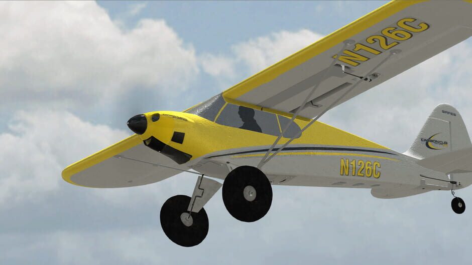 RealFlight Evolution Screenshot