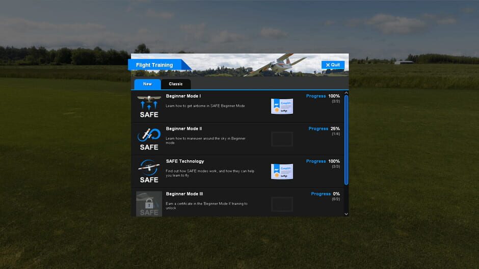 RealFlight Evolution Screenshot