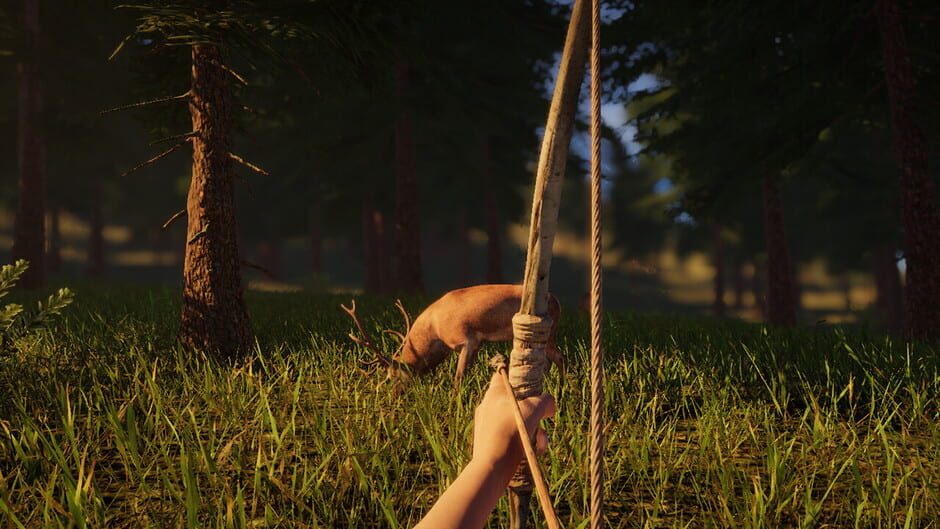 Singularity screenshot