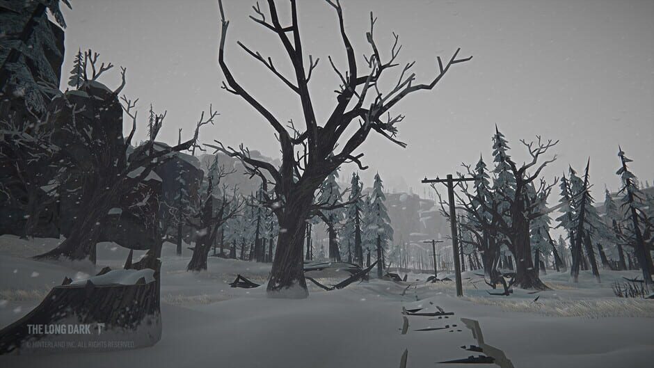 The Long Dark: Tales from the Far Territory Screenshot