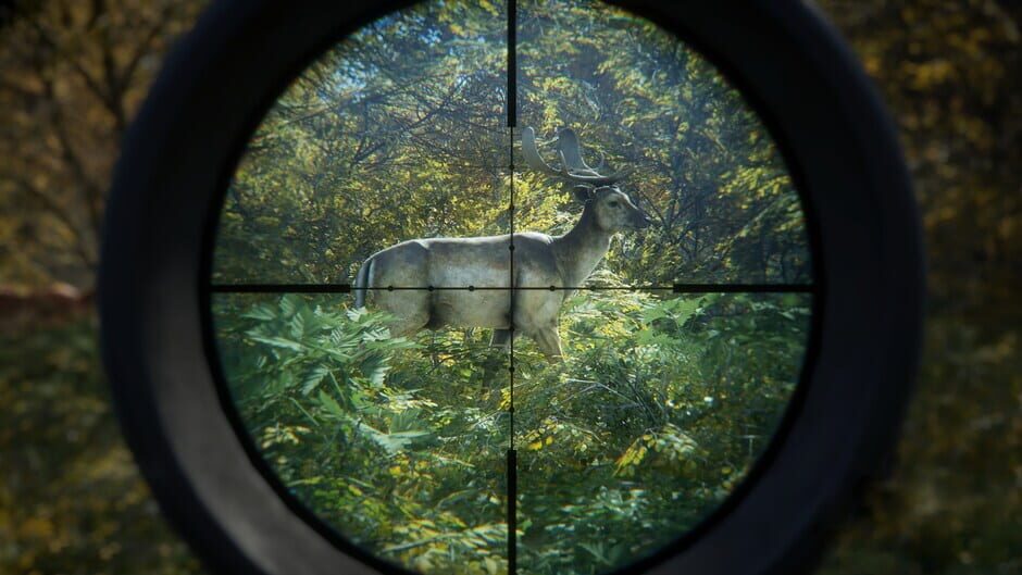 TheHunter: Call of the Wild - Greenhorn Bundle Screenshot