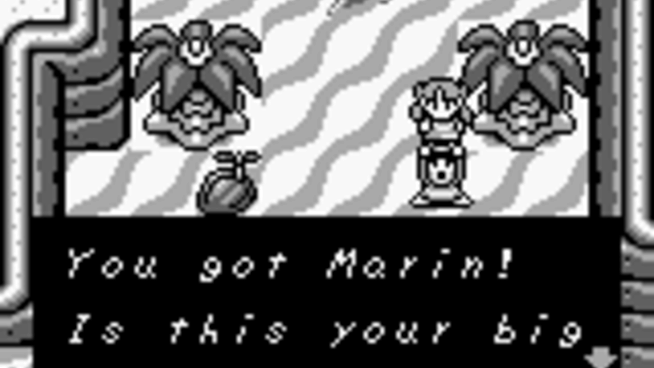 The Legend of Zelda: Link's Awakening Screenshot