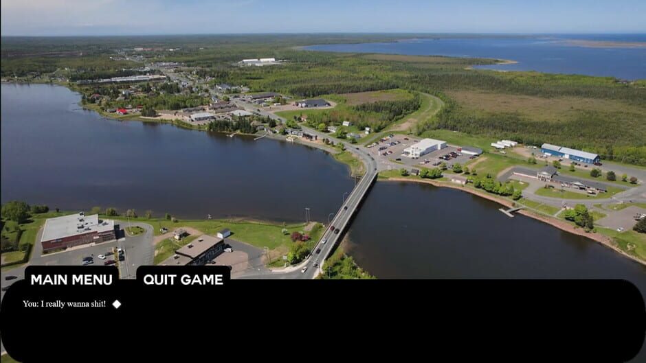 Tracadie Bird Shit Screenshot