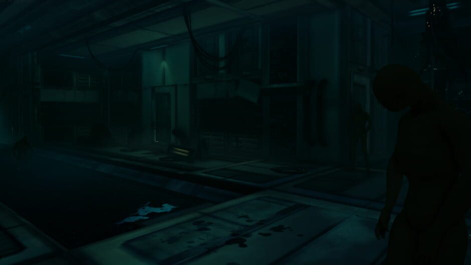 The House the Dead Built media thumbnail