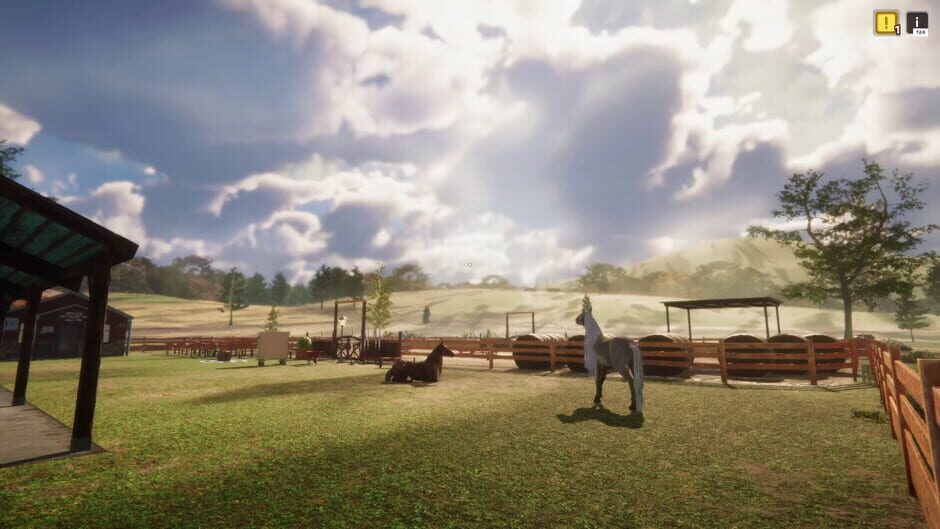 Animal Shelter Simulator: Horse Shelter DLC Screenshot