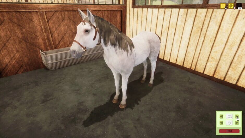 Animal Shelter Simulator: Horse Shelter DLC Screenshot
