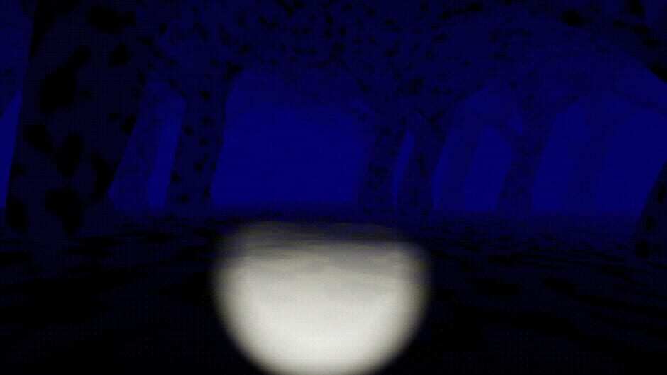 Deep in the Snowy Night Screenshot