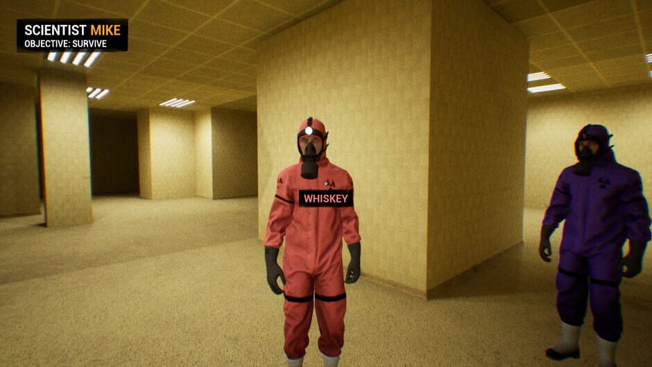 Backrooms: Apprehension Screenshot