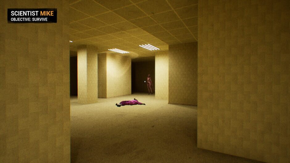 Backrooms: Apprehension Screenshot