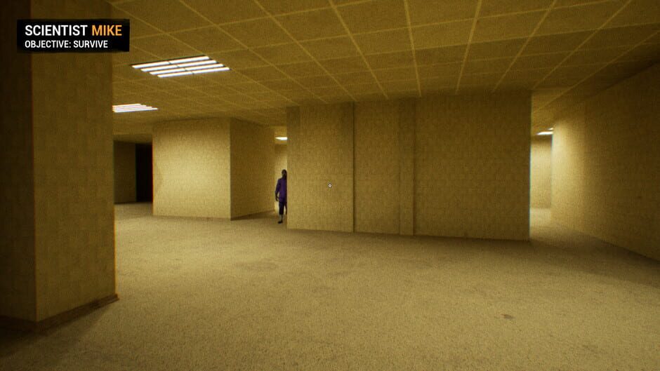 Backrooms: Apprehension Screenshot