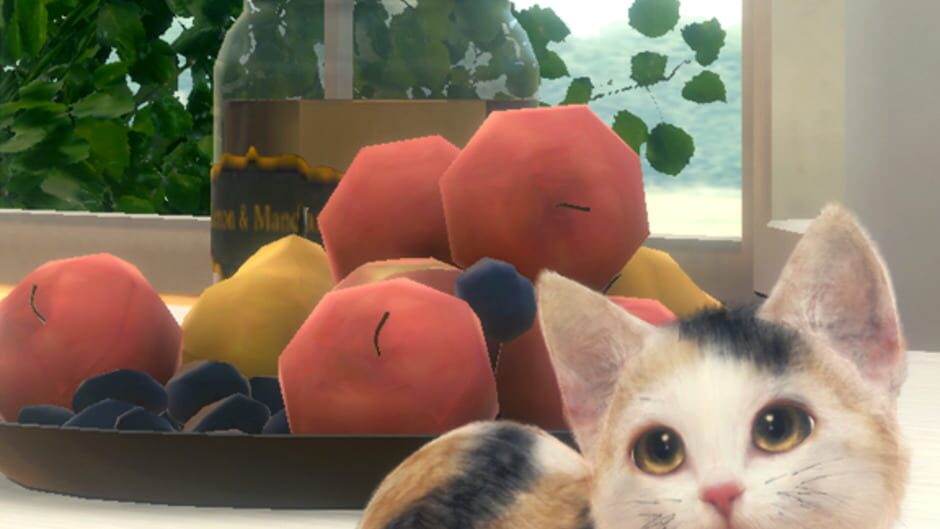 With My Cat screenshot