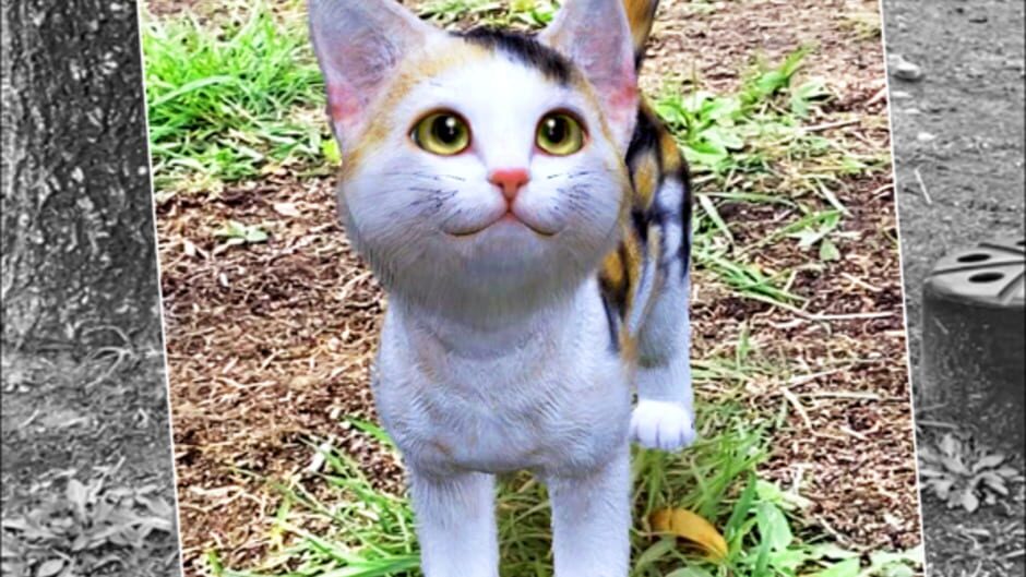 With My Cat screenshot