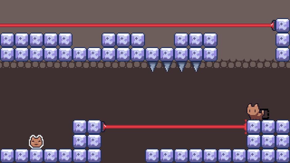 Kitten Lost Her Box Screenshot