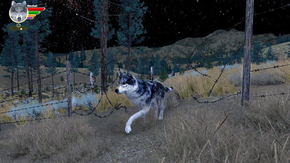 สกรีนช็อตจาก WolfQuest: Anniversary Edition - Lost River (รูปที่ 9)