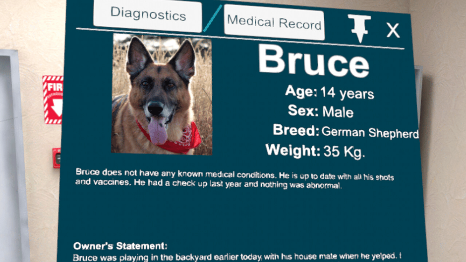 VetVR: Veterinary Simulator Screenshot