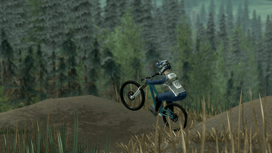 Downhill Pro Racer Screenshot