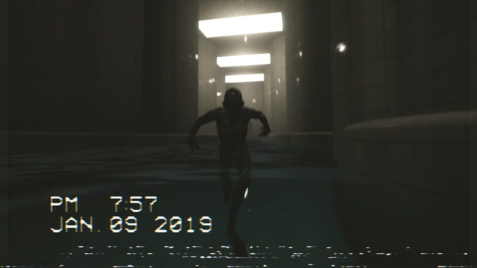 In the Backrooms Screenshot