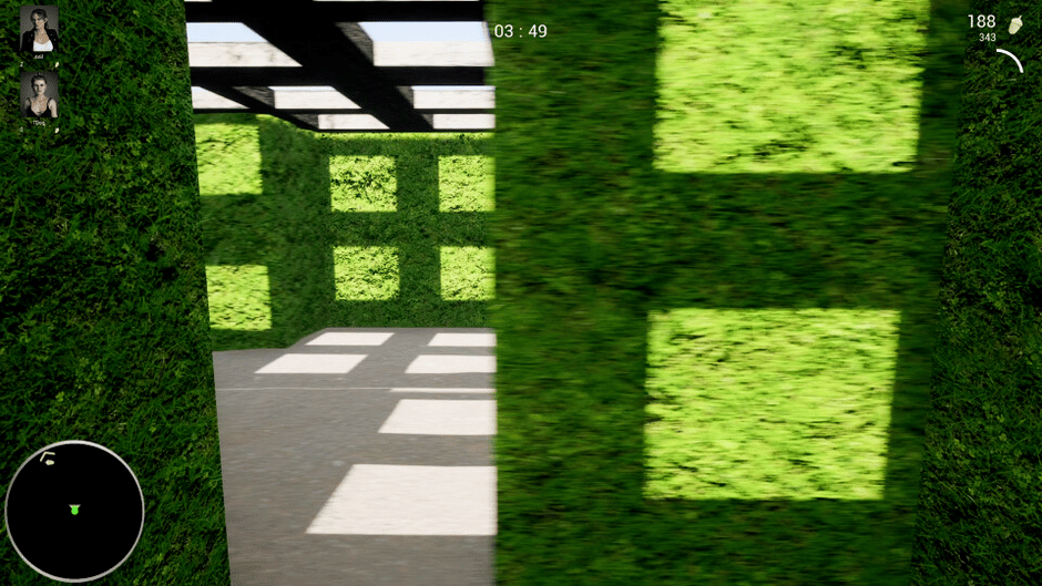 Maze Nuts Screenshot