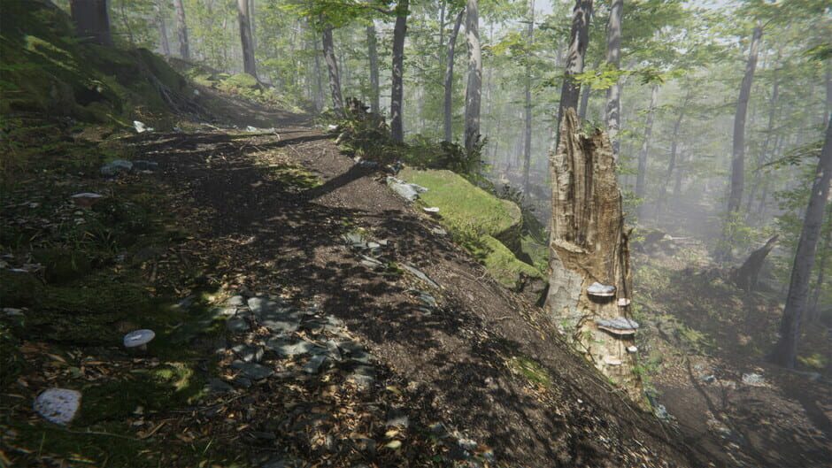 สกรีนช็อตจาก Mushroom Collector Simulator (รูปที่ 7)