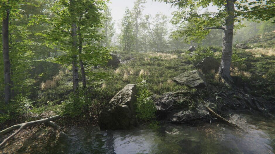 สกรีนช็อตจาก Mushroom Collector Simulator (รูปที่ 8)