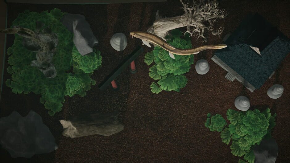 Aquarium Designer: Japan Screenshot