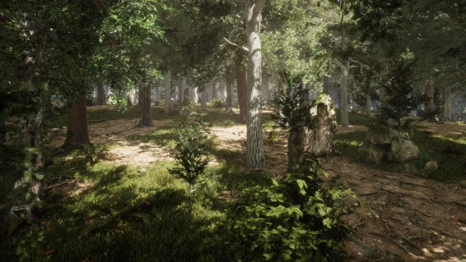 The Quinfall, captura de tela 5