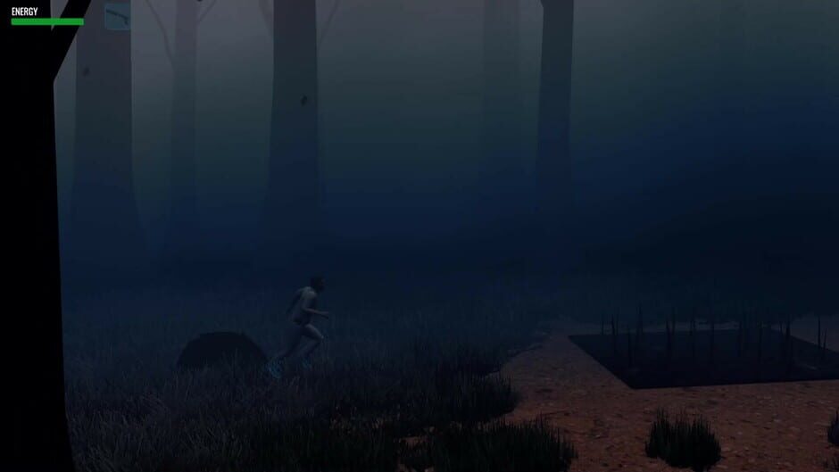 Project Null screenshot
