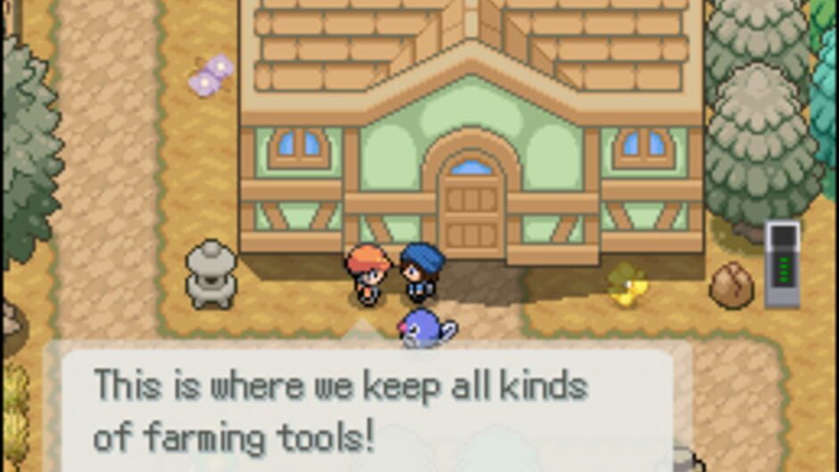 สกรีนช็อตจาก Pokémon Floral Tempus EX (รูปที่ 2)